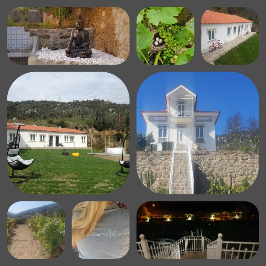 סייה Villa Alzira מראה חיצוני תמונה