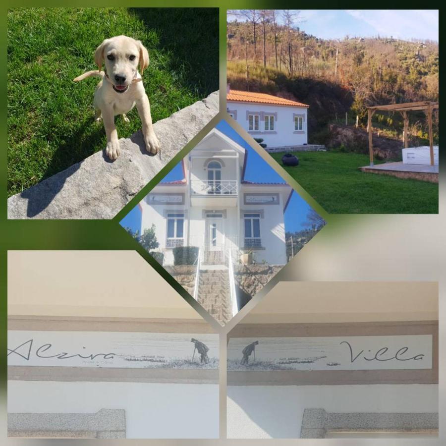 סייה Villa Alzira מראה חיצוני תמונה