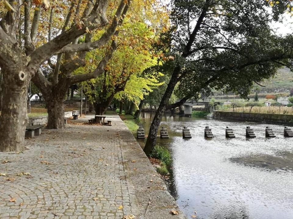 סייה Villa Alzira מראה חיצוני תמונה