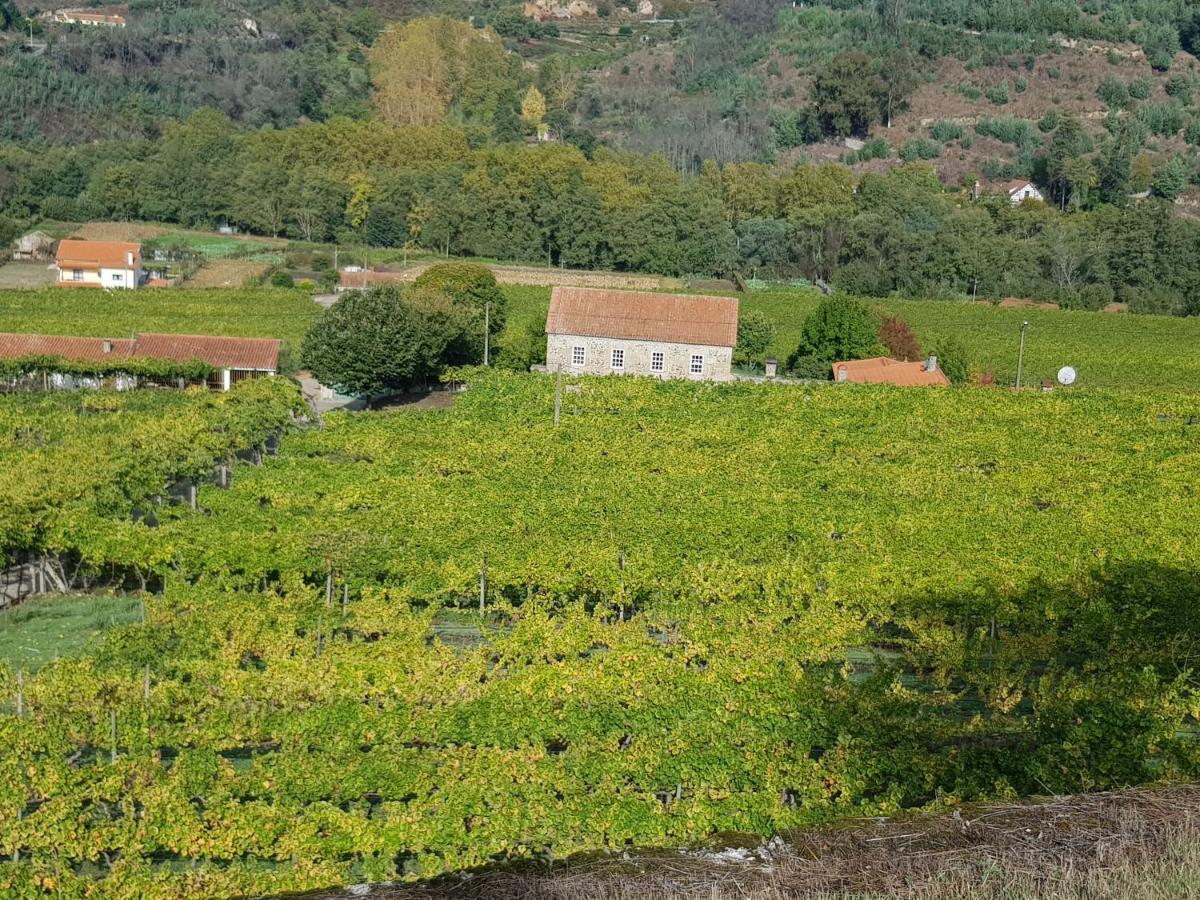 סייה Villa Alzira מראה חיצוני תמונה